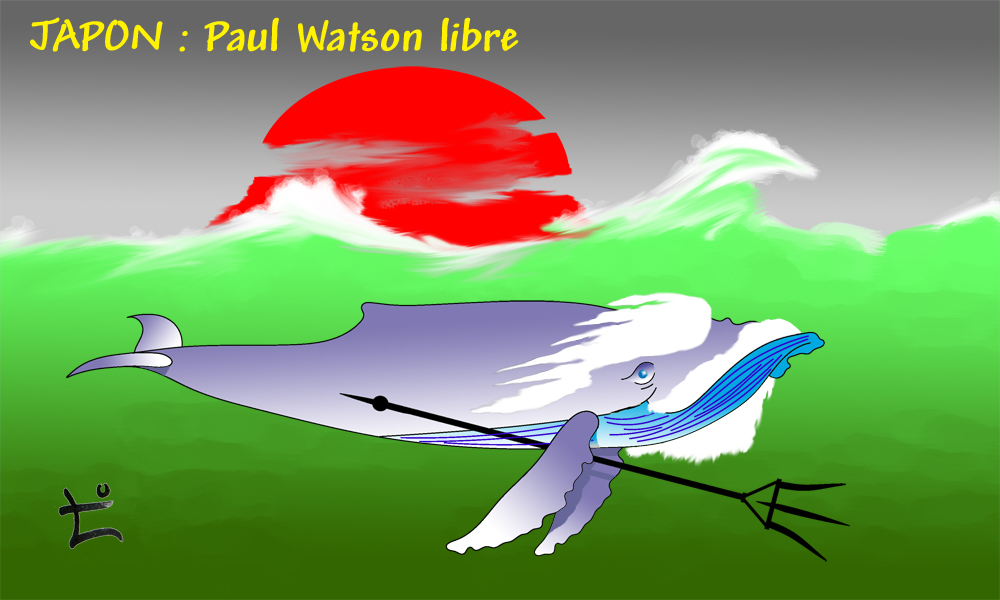Dessin du mois 2025-01 – Groenland : Paul Watson libre